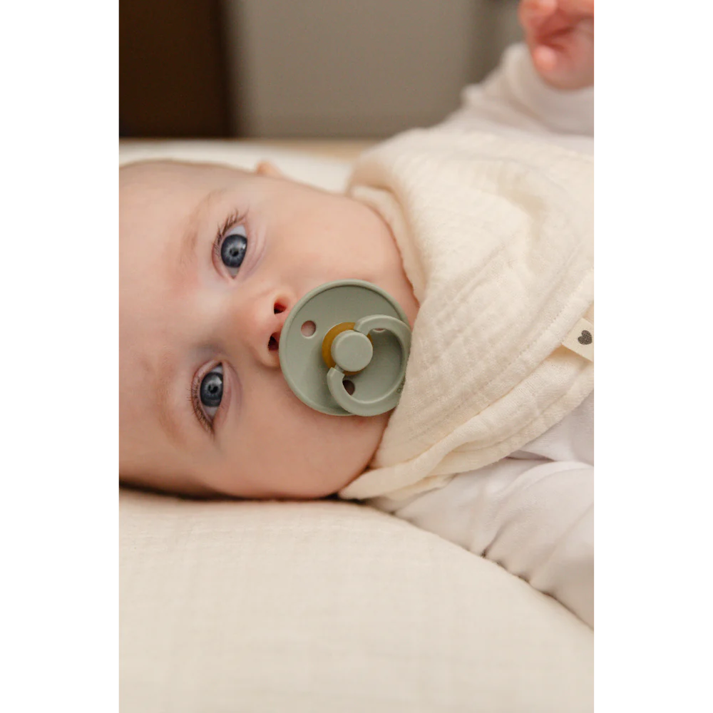 BIBS - Pacifier Colour Latex Size 2 Round Nipple (1-pack)