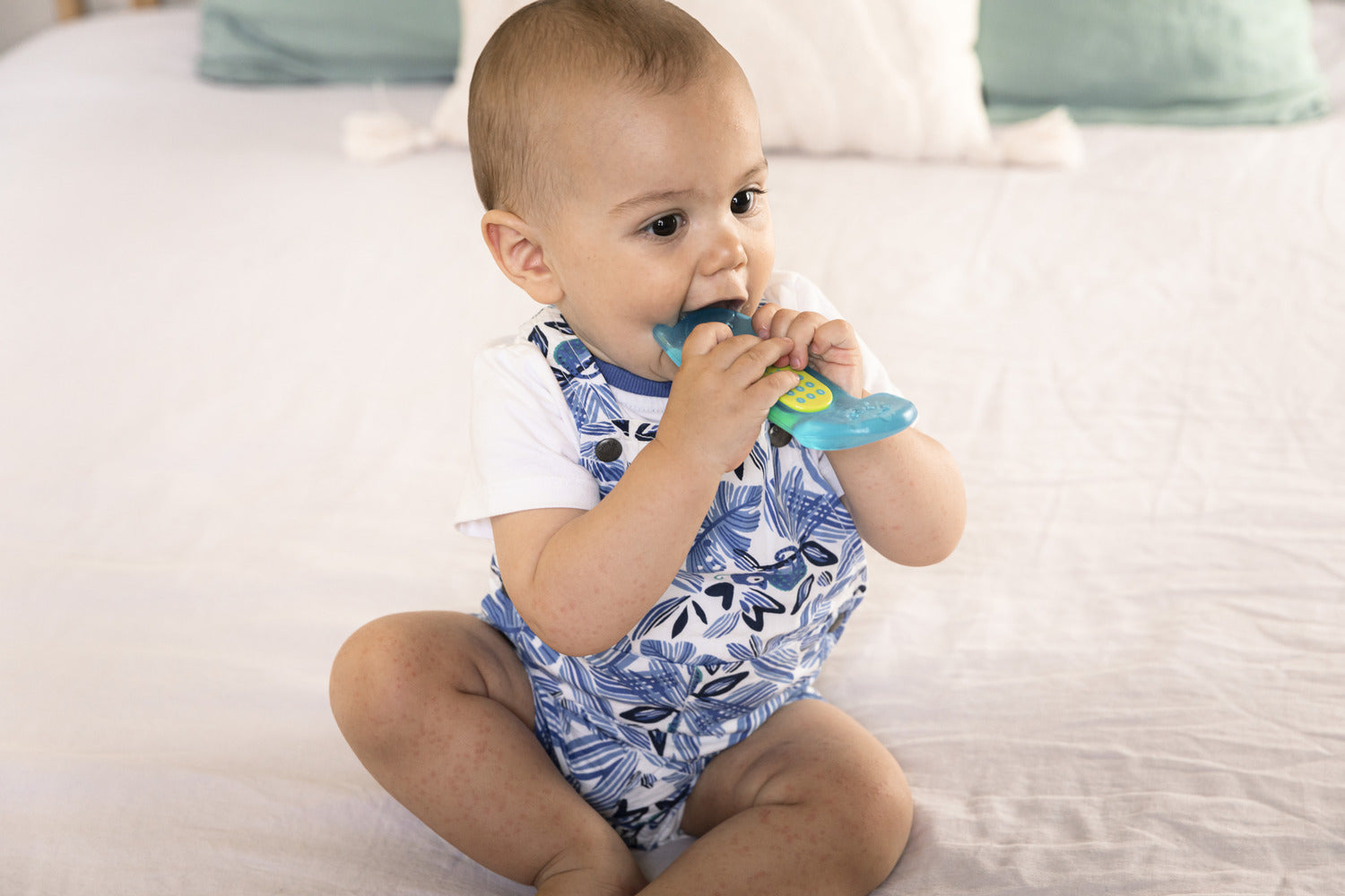 Sophie la Girafe - SLG Fresh Touch Ice Bite Telephone