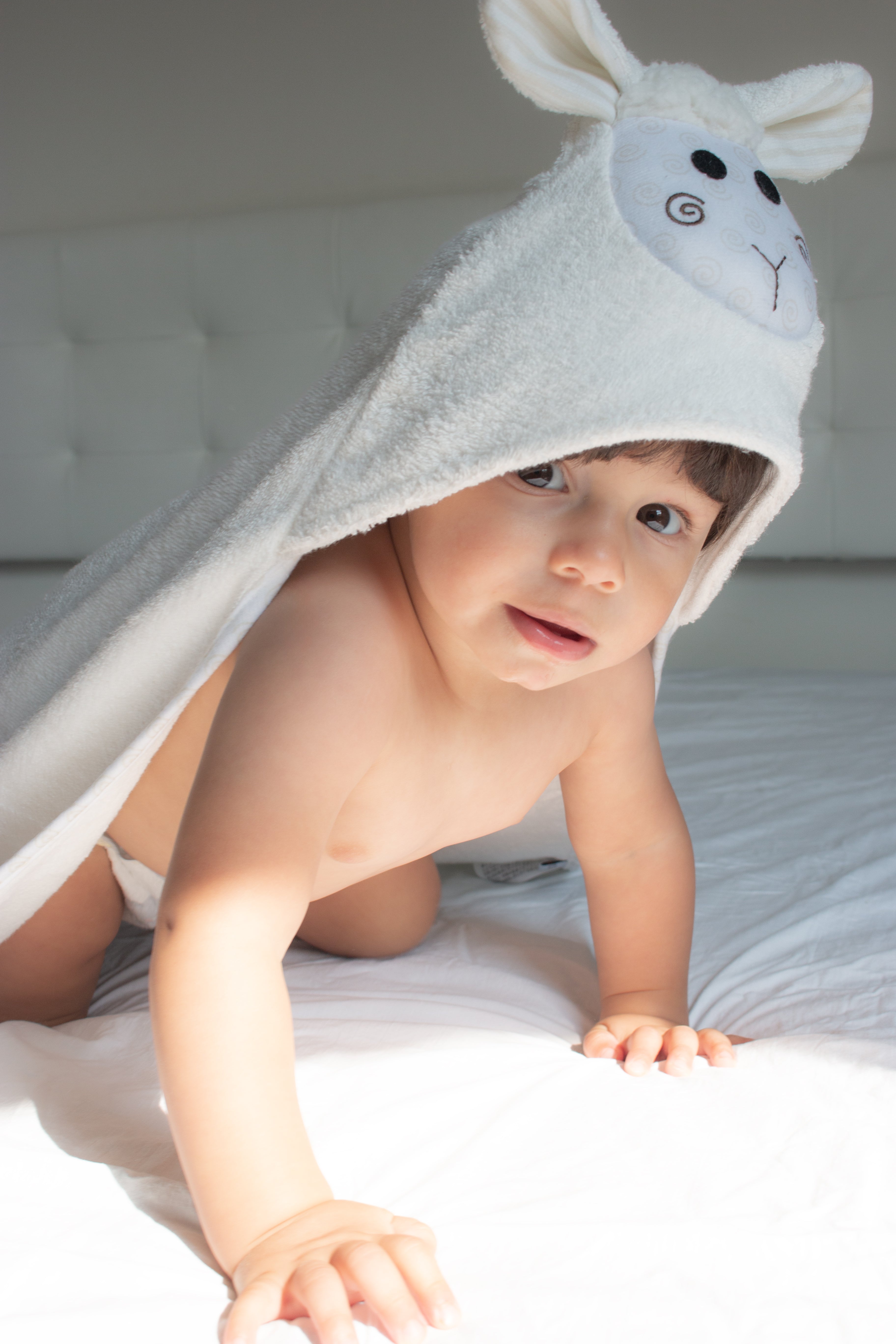Zoocchini - Baby Hooded Towel - Lucky the Lamb