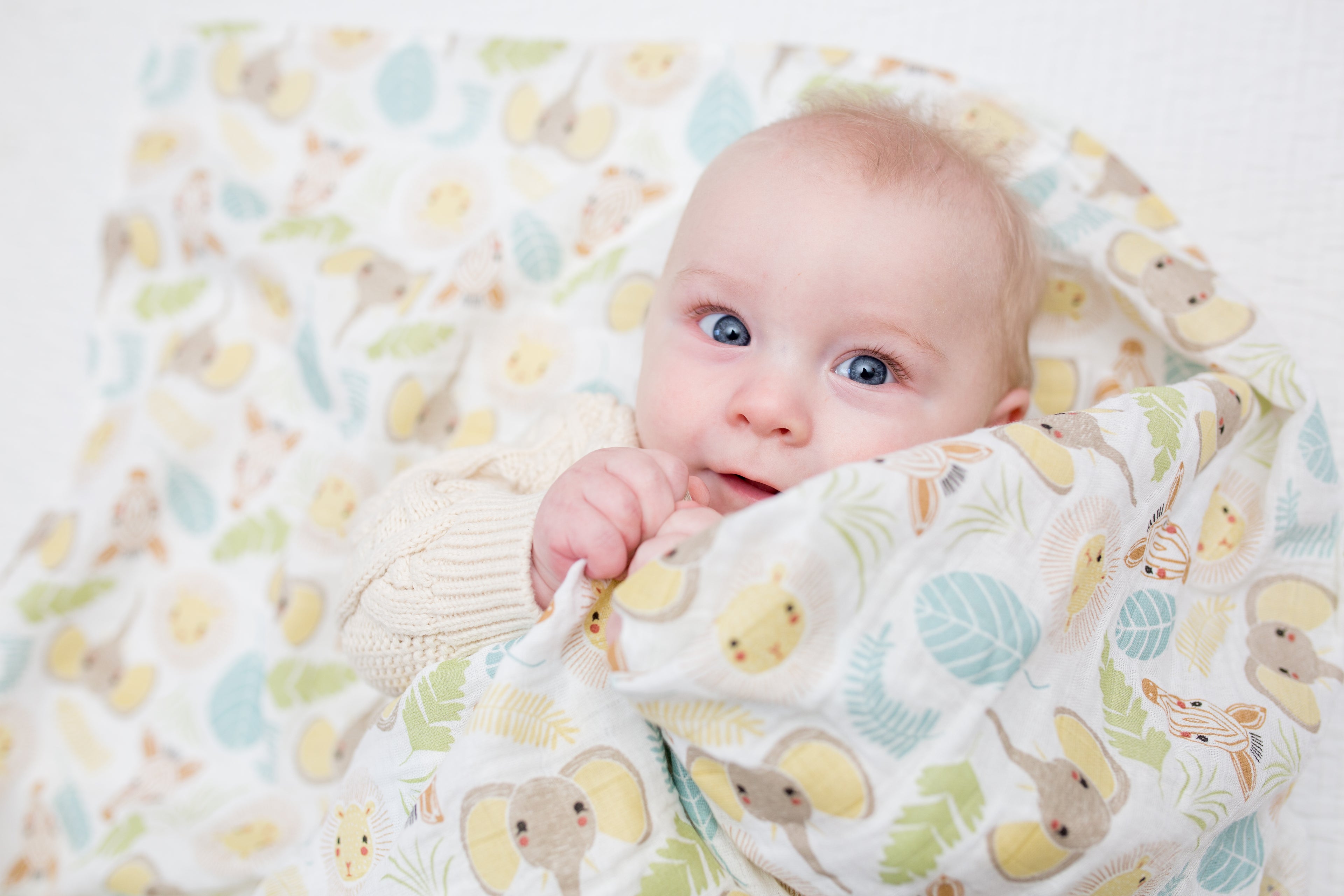 Lulujo Muslin Swaddle