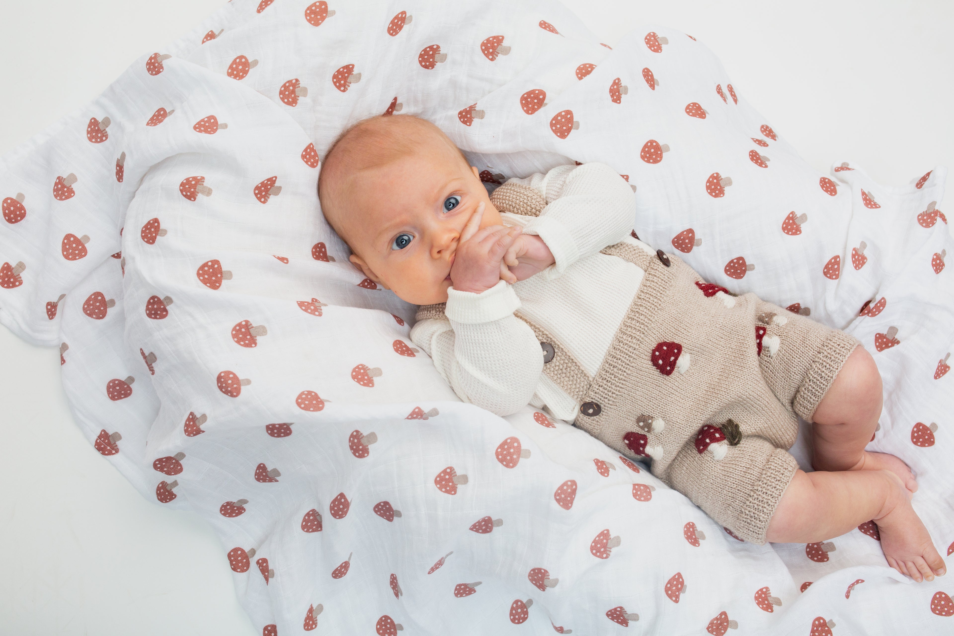 Lulujo 2-Pack Cotton Swaddles