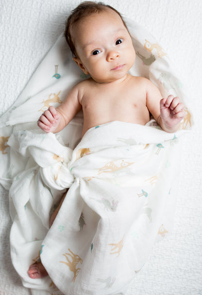 Lulujo Muslin Swaddle