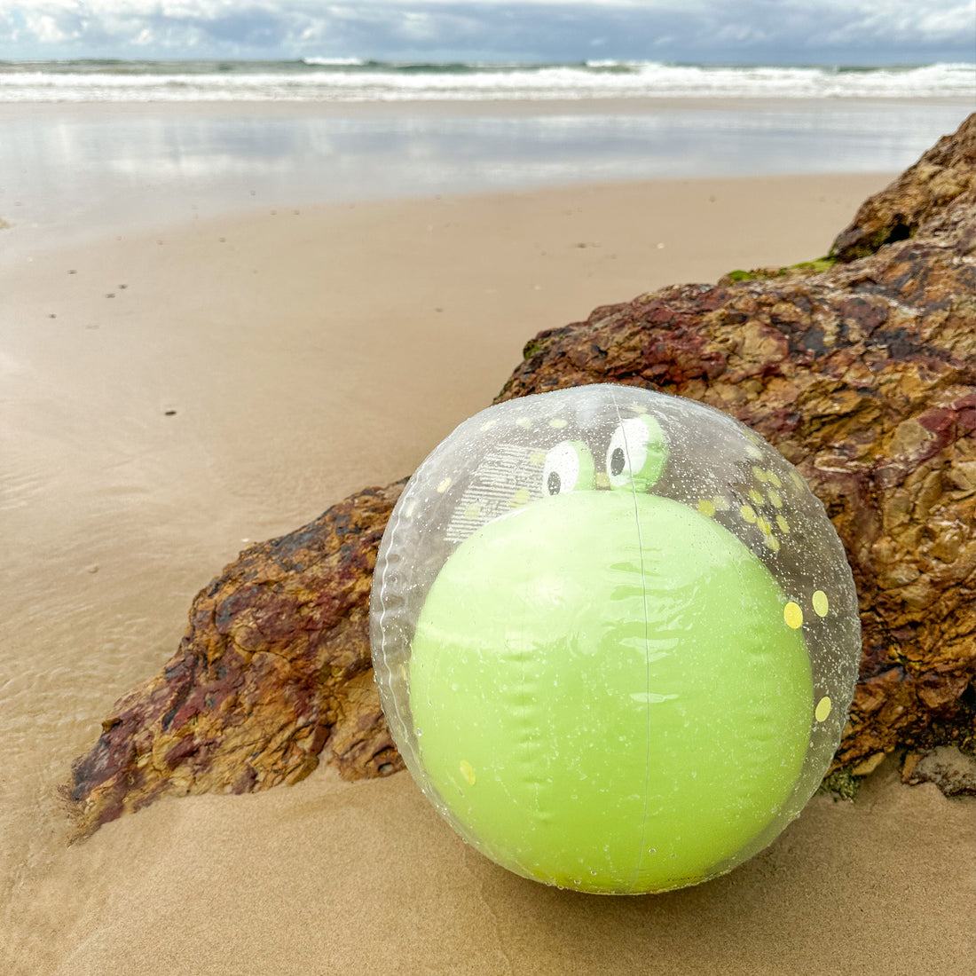 Sunnylife 3D Inflatable Beach Ball Cookie the Croc