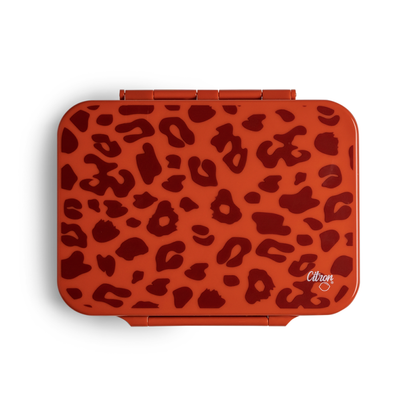 Shop Citron 2023 Tritan Lunchbox in online