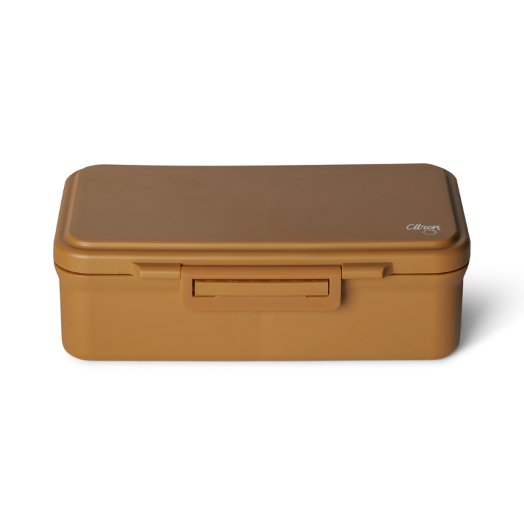 Citron 2023 Rectangle Lunchbox Buy now online in UAE