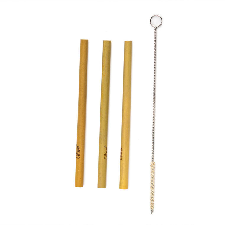 Citron Organic Bamboo Set of 3 Straws + Brush. Shop now in UAE